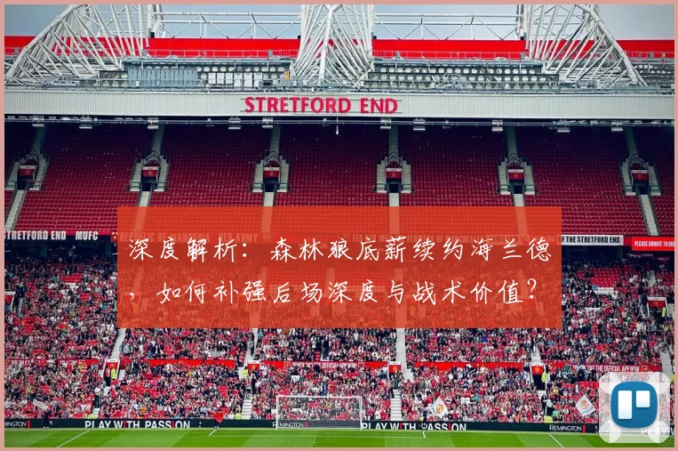 深度解析:森林狼底薪续约海兰德,如何补强后场深度与战术价值?